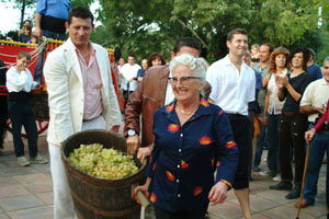 Durant la festa es va trepitjar raïm i es va fer un tast del primer most. FdG/Rita Lamsdorff