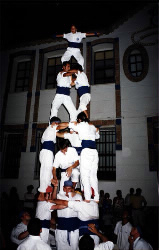 Tres Obert del Falcons de Vilanova a Arago l'agost del 2001