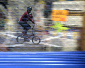 La imatge guanyadora del concurs. foto/manolovik