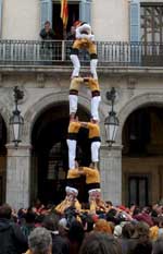 Torre de 7 dels de groc terrós a la seva diada. fdg/rita lamsdorff