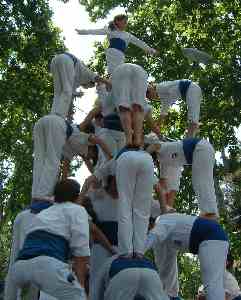 Tripira dels Falcons a la Font d'en Fargues. Foto: Jordi Roca