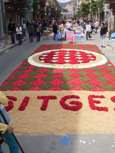 La catifa del grup de Sitges.