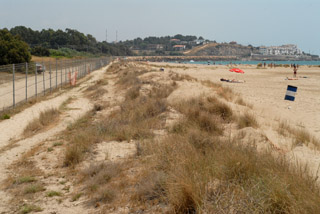 Aspecte de la platja llarga aquest cap de setmana. fdg/c. castro