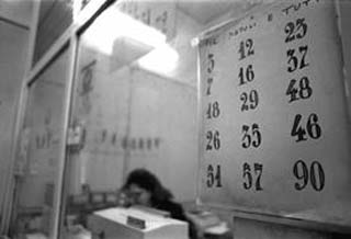 Les projeccions es realitzaran durant l'estiu al xiringuito Trillas.