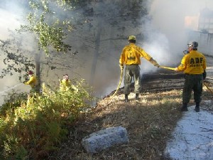 Una imatge dels voluntaris durant l'extinció.
