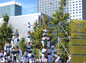 Els Falcons de Vilanova van fer una gran exhibició al recinte del Forum. foto/blanca peribañez