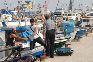 Uns pescadors descarreguen les seves captures al moll de Vilanova. FdG/Carles Castro