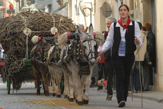 Un dels carros més tradicionals dels Tres Tombs de Vilanova. FdG/Carles Castro