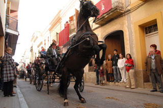 Vilanova serà la seu de la trobada anual de la Federació d'Associacions de Tres Tombs de Catalunya.