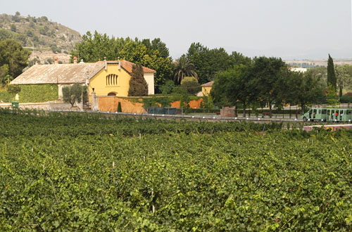 Centre de visites de Torres a Pacs del Penedès. fdg/ rita lamsdorff