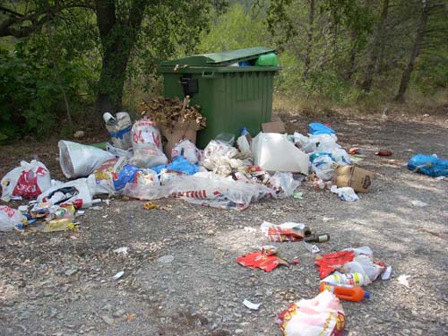 Imatge de la bruticia al voltant dels contenidors de l'urbanització