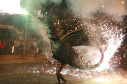 Imatge d'arxiu del Drac de la Geltrú. Foto: Ass. Amics del Drac de la Geltrú.
