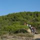 +Caminada+Tot+passejant+pel+municipi+d%27El+Martinet+