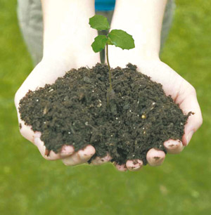 Les energies renovables ens poden estalviar molts diners