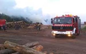 Carles Castro. Els bombers treballant a l'incendi