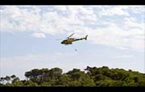 VD. Incendi forestal als Colls