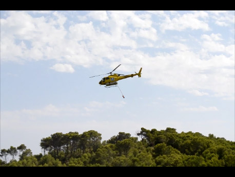 VD. Incendi forestal als Colls