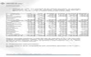 Informe Intervenció