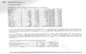 Informe Intervenció