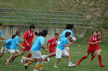 VD. Sel Vilanova