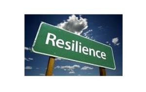 VD. Resiliència