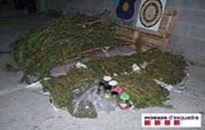 Decomís de 23 quilos de marihuana