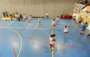 Cadet femení A del CB Samà