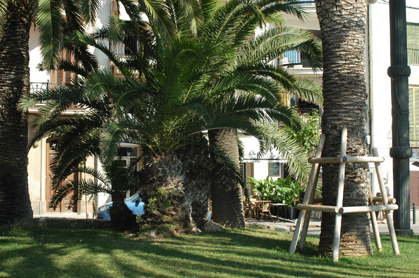 Ajt Sitges. palmeres