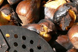 Castanyades als centres cívics i concurs de panellets