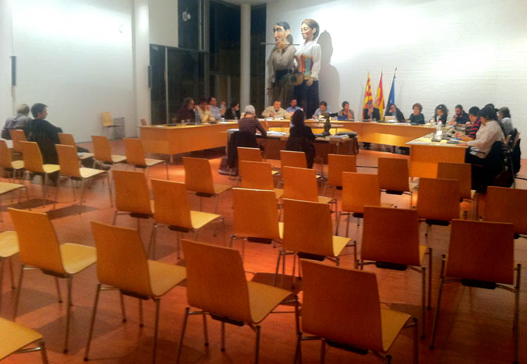 VD. Imatge del ple 