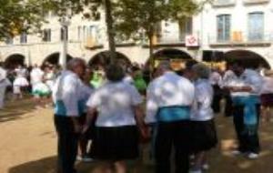 Colles de Vilanova al Concurs de Sardanes de Banyeles