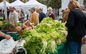 Festival del Xató i la Cuina d'Hivern