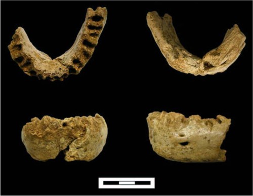 UB. El mitocondrial dun neandertal