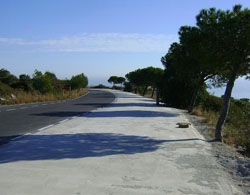 Xarxa de Parcs Naturals. Pla de Querol al Parc del Garraf