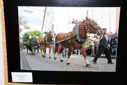 VD. Josep Albet guanya el concurs de fotos dels Tres Tombs 