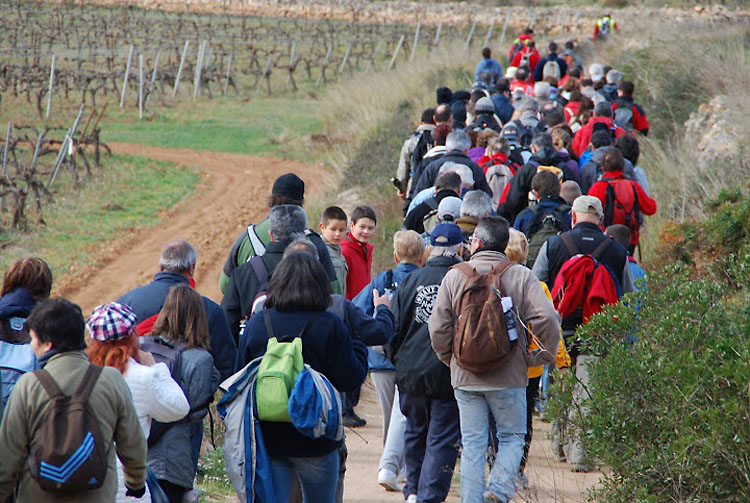 Caminada popular de la Talaia a can Sidro