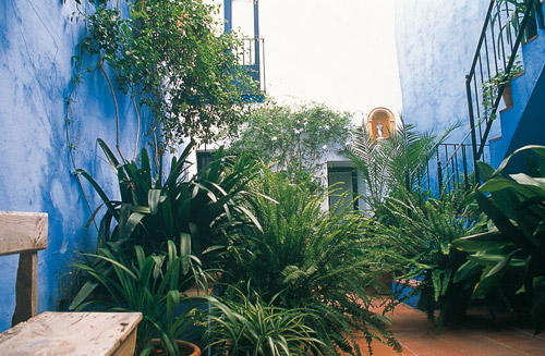 VD. El pati blau