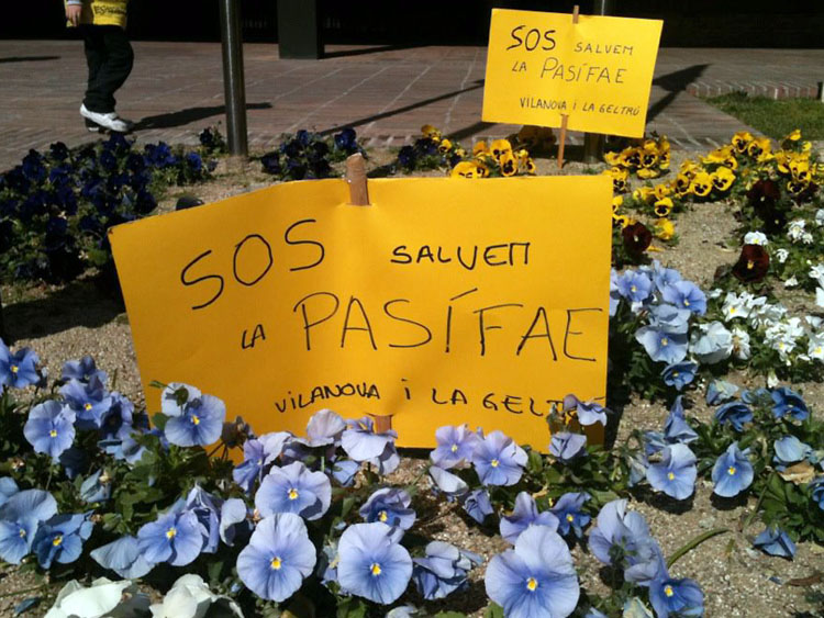 VD. L’escola Pasífae