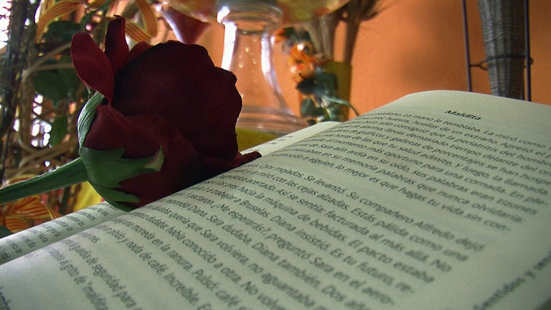 VD. Detall de l'aparador de Sant Jordi de la floristeria Espe de Vilanova i la Geltrú