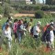 Passejada+interpretativa+per++l%27Ortoll+i+Sant+Gervasi