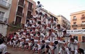 Falcons de Vilanova. Diada dels Falcons de Vilanova