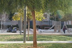 Ajt Vilanova i la Geltrú. 310 tones de residus vegetals en la campanya d'esporga a Vilanova