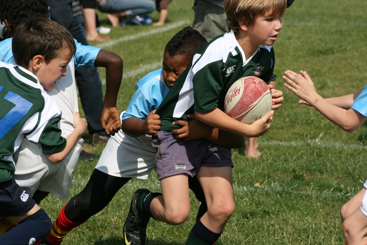 VD. Imatge d'arxiu d'un equip del planter