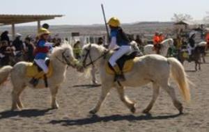 VD. La final de la lliga dels Pony Games serà a VNG