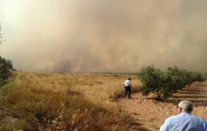 Incendi al Parc del Foix