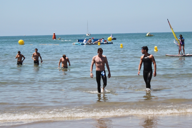 VD. Els nedadors, arribant a la fi d'una de les curses