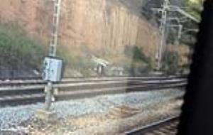 Un cotxe cau per les costes del Garraf