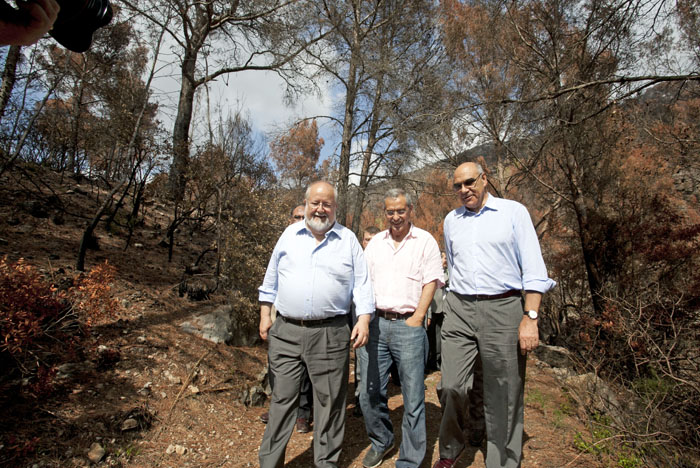 VD. Abertis col·laborarà amb les tasques de regeneració forestal 
