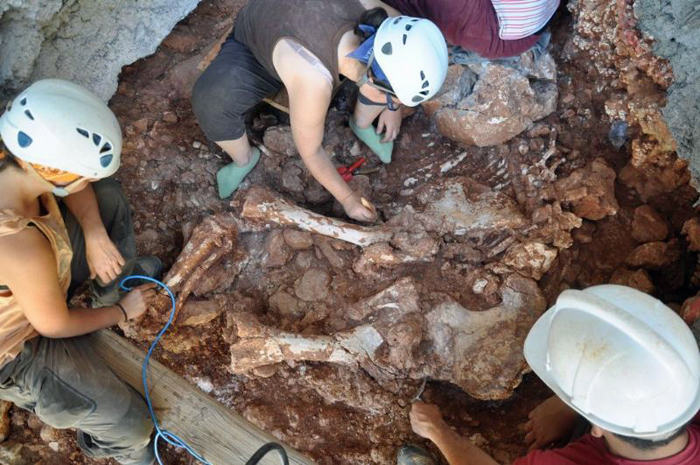 Ajt Castelldefels. Troballa d'un elefant prehistòric al massís del Garraf