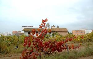 VD. Vista de les vinyes, amb l'hospital de fons